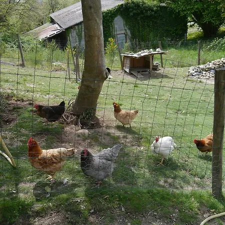 Ajjana Saint-Saud-Lacoussière