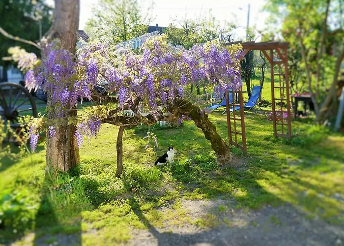 Ajjana Chambres D'hotes *