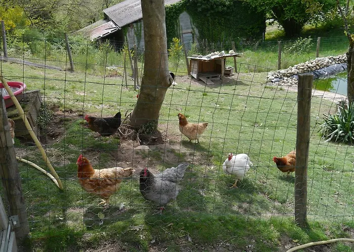 Ajjana Chambres D'hotes Saint-Saud-Lacoussière