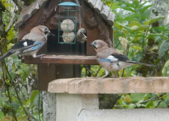 Ajjana Chambres D'hotes *